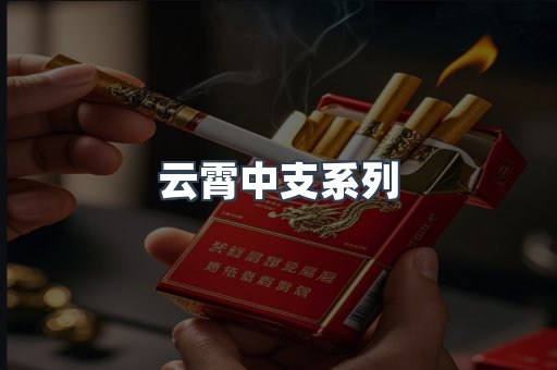 云霄中支系列
